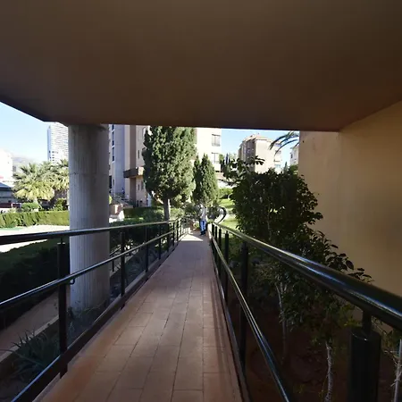 Coblanca 29 - Arena *